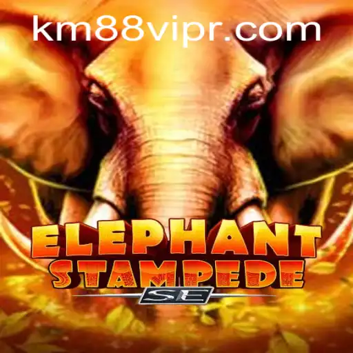 Discover the Thrilling World of ElephantStampedeSE: A Guide to Game Dynamics and Current Events
